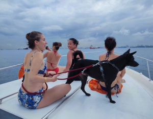 Pet friendly yacht charter in Singapore with guests and a dog on the aft deck