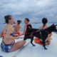 Pet friendly yacht charter in Singapore with guests and a dog on the aft deck